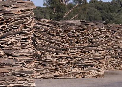 Industria del corcho